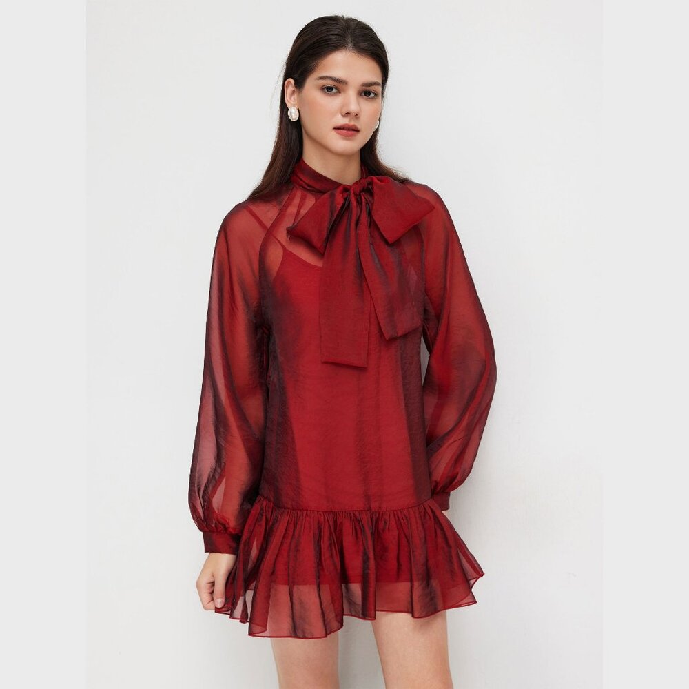 Red Bowknot Sheer Mini Dress with Cami Mini Dress